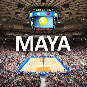 3D MSG Basketball Arena with Animated Audience (MAYA) model